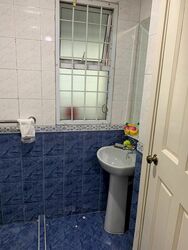 Westville (D22), Terrace #520031631